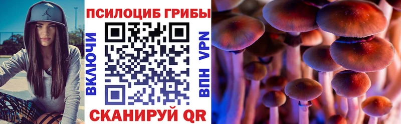 Галлюциногенные грибы Psilocybine cubensis  купить наркотик  ОМГ ОМГ маркетплейс  Истра 